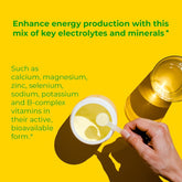 Electrolyte Drink Powder — 354 g