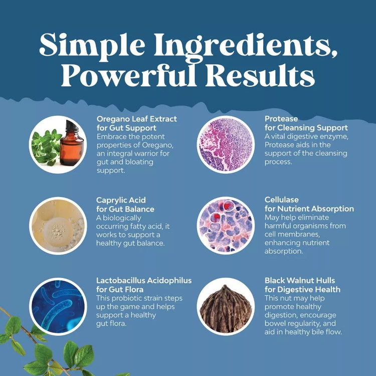 Daily Wellness Capsule Supplement