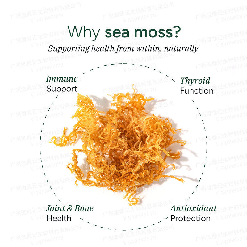 Seaweed & Berry Supplement Gummies